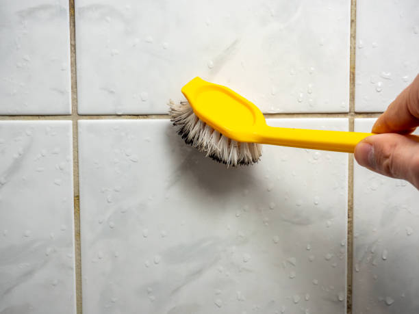 Best Mold Cleaning Services  in Corning, NY