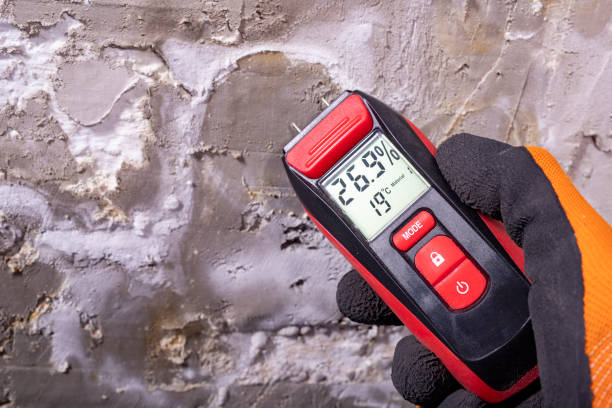 Best Emergency Mold Removal  in Corning, NY